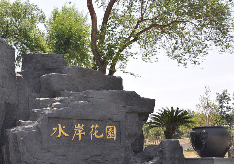 a1465989576552AO.jpg