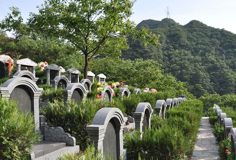 九公山长城纪念林图片在哪里可以找的到？