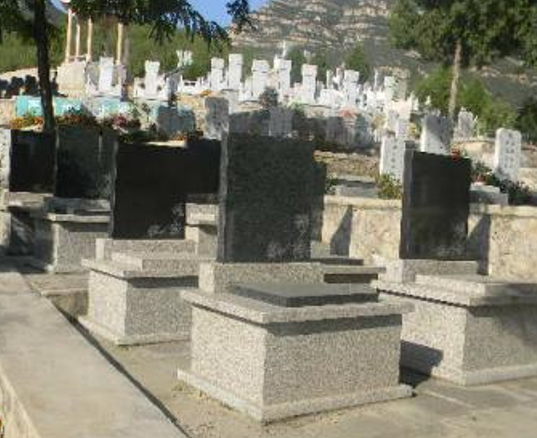 1620429464753271.png 7.png