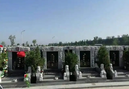 下载 (6).png