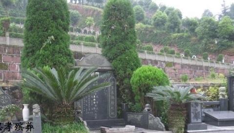 下载 (8).png